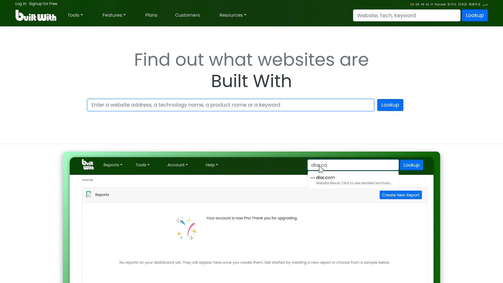 BuiltWith platform showing a website's technology profile