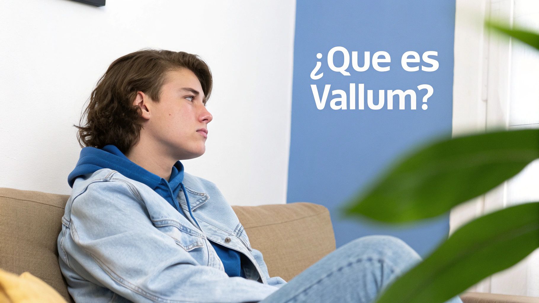 Joven reflexivo sentado en un sofá, mirando un panel azul con la pregunta "¿Qué es Vallum?"