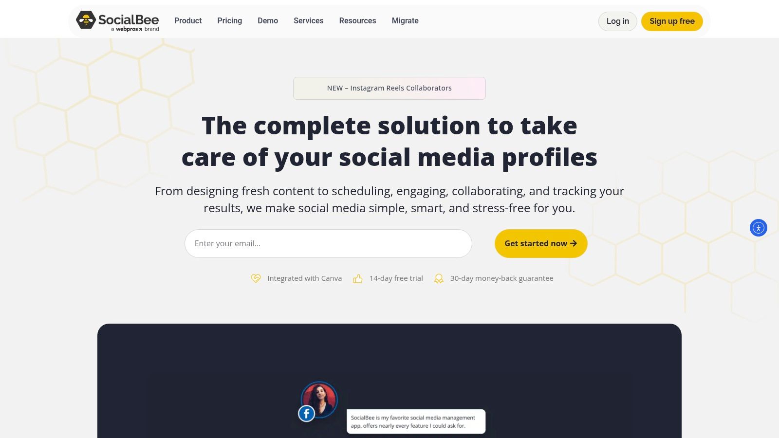 SocialBee