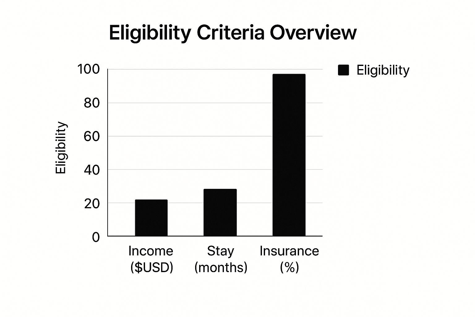 Infographic about digital nomad visa requirements
