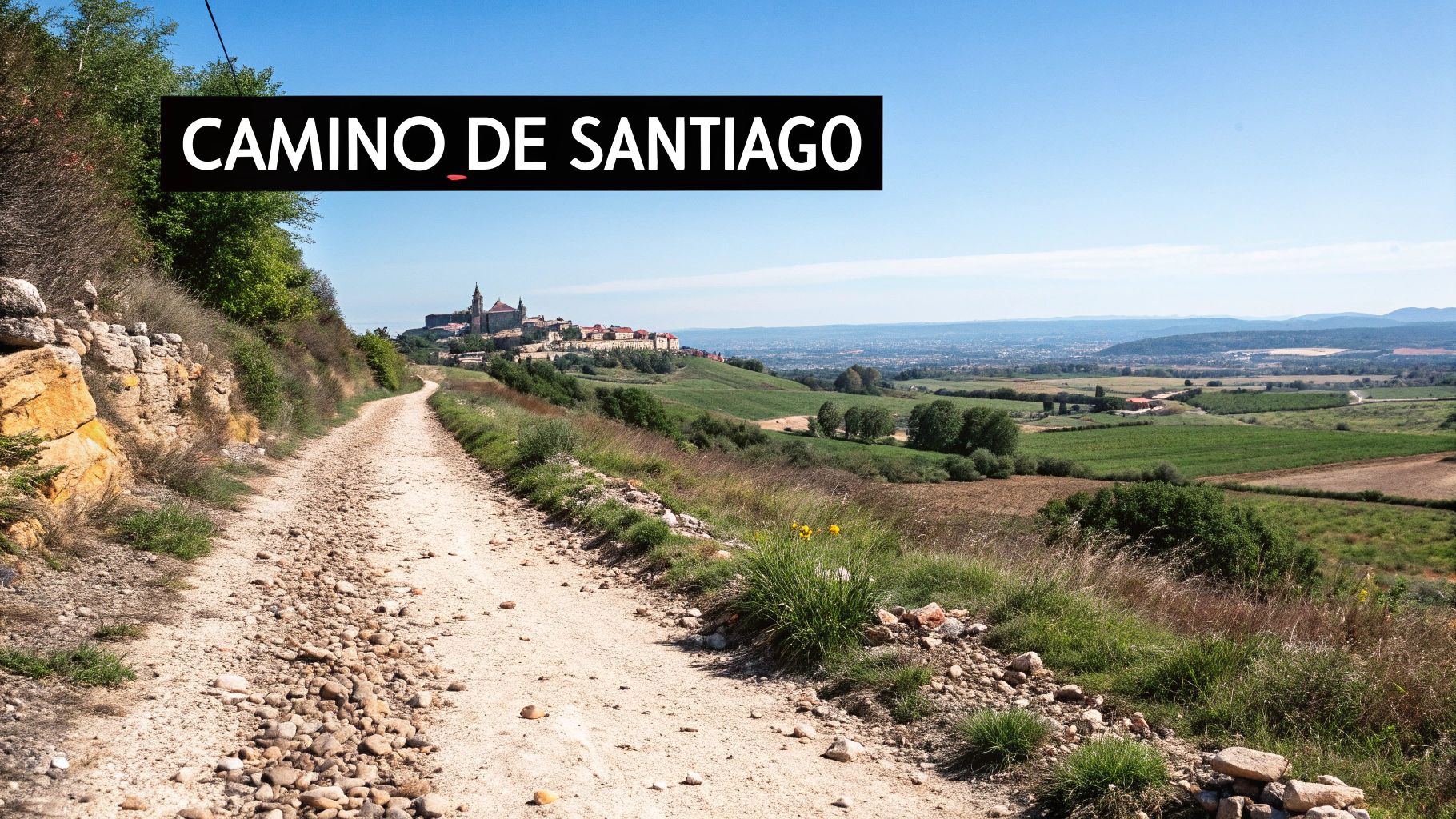 Camino de Santiago (French Way)