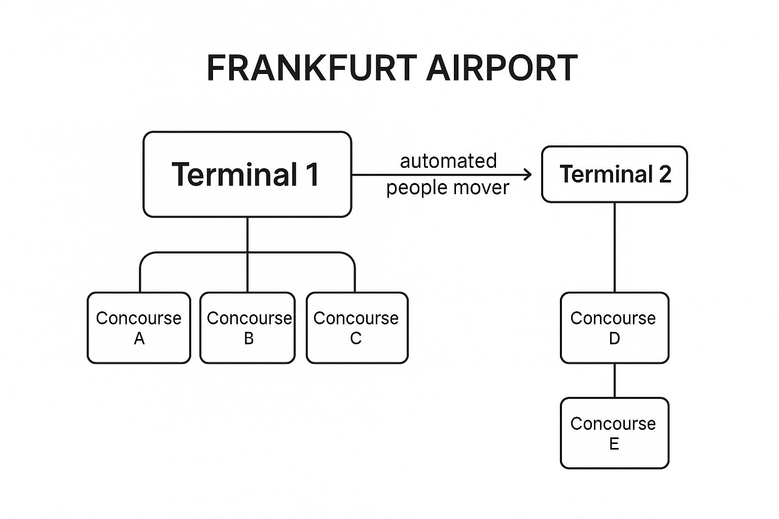 Infographic showing key data about Master the Airport Layout and Terminals