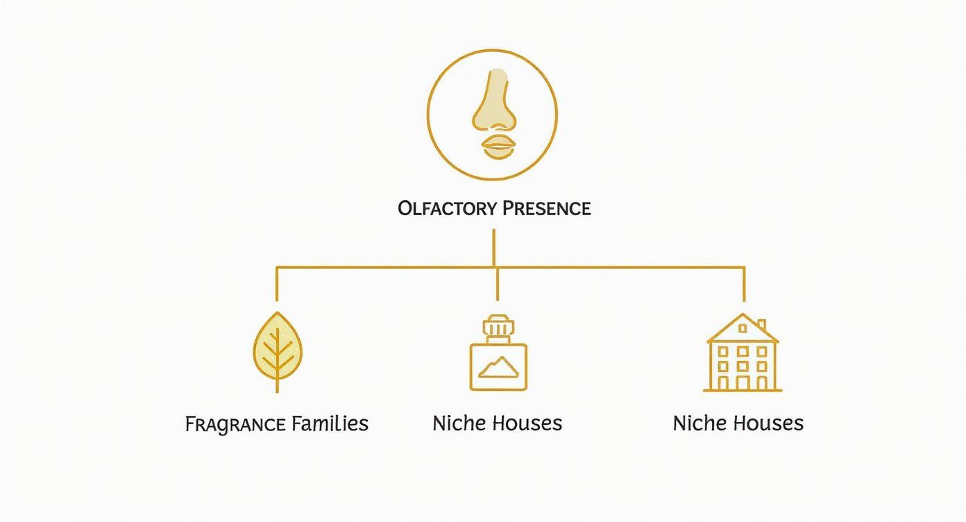 Infographic about best long lasting perfumes