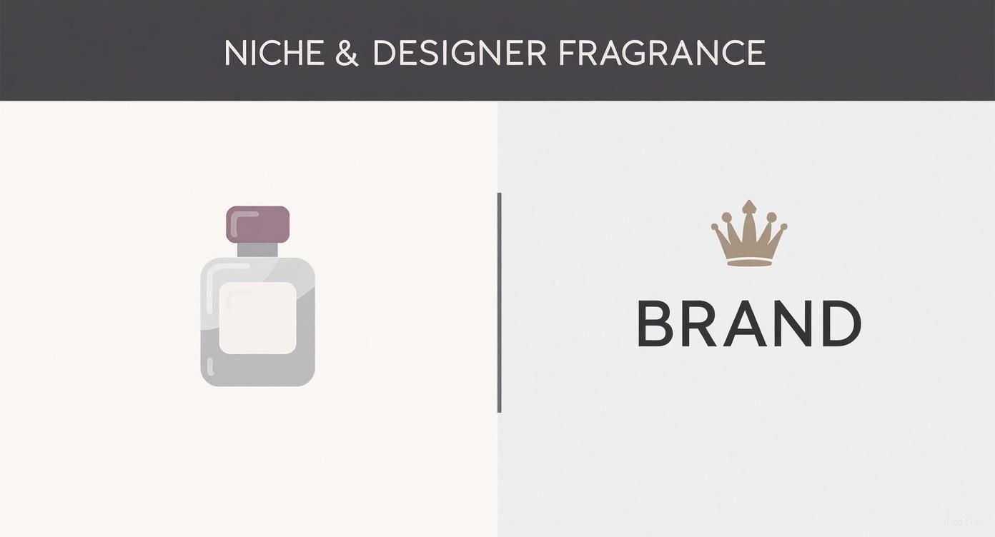 Infographic comparing niche and designer fragrances, highlighting artistic freedom versus mass appeal.
