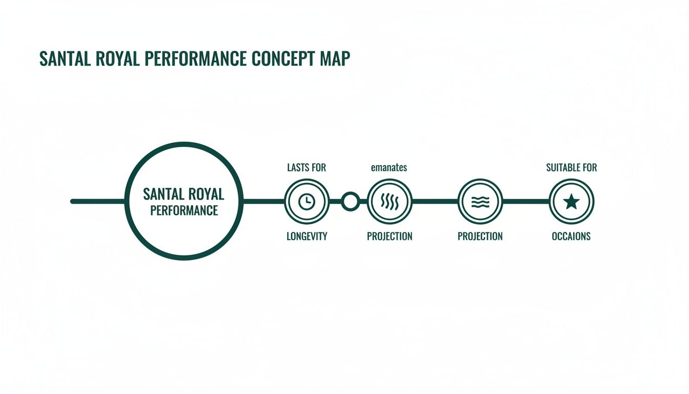 A concept map showing Santal Royal fragrance performance attributes: longevity, projection, and suitable occasions.