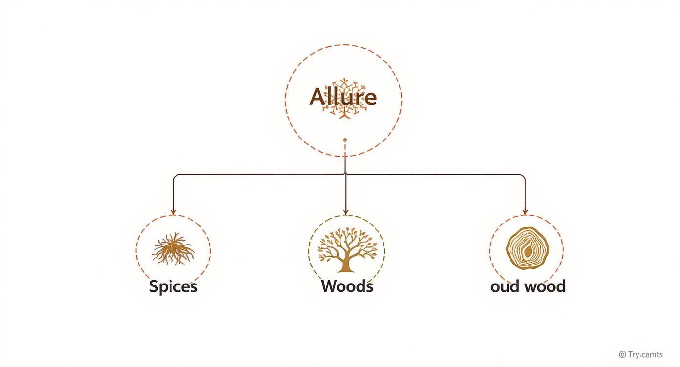 A diagram illustrating 'Allure' and its three fragrance components: Spices, Woods, and oud wood.