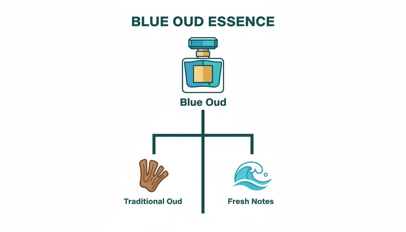 A diagram illustrating Blue Oud perfume, composed of traditional oud wood and fresh notes.