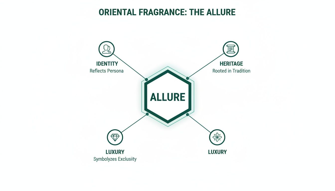 A diagram illustrating the allure of oriental fragrances through identity, heritage, and luxury concepts.