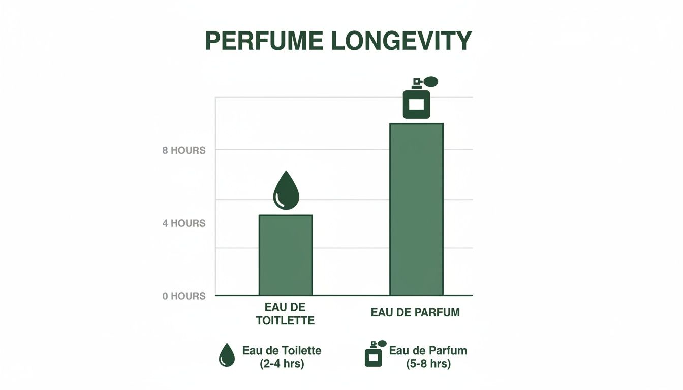 Bar chart comparing perfume longevity, showing Eau de Parfum lasting significantly longer than an Eau de Toilette.