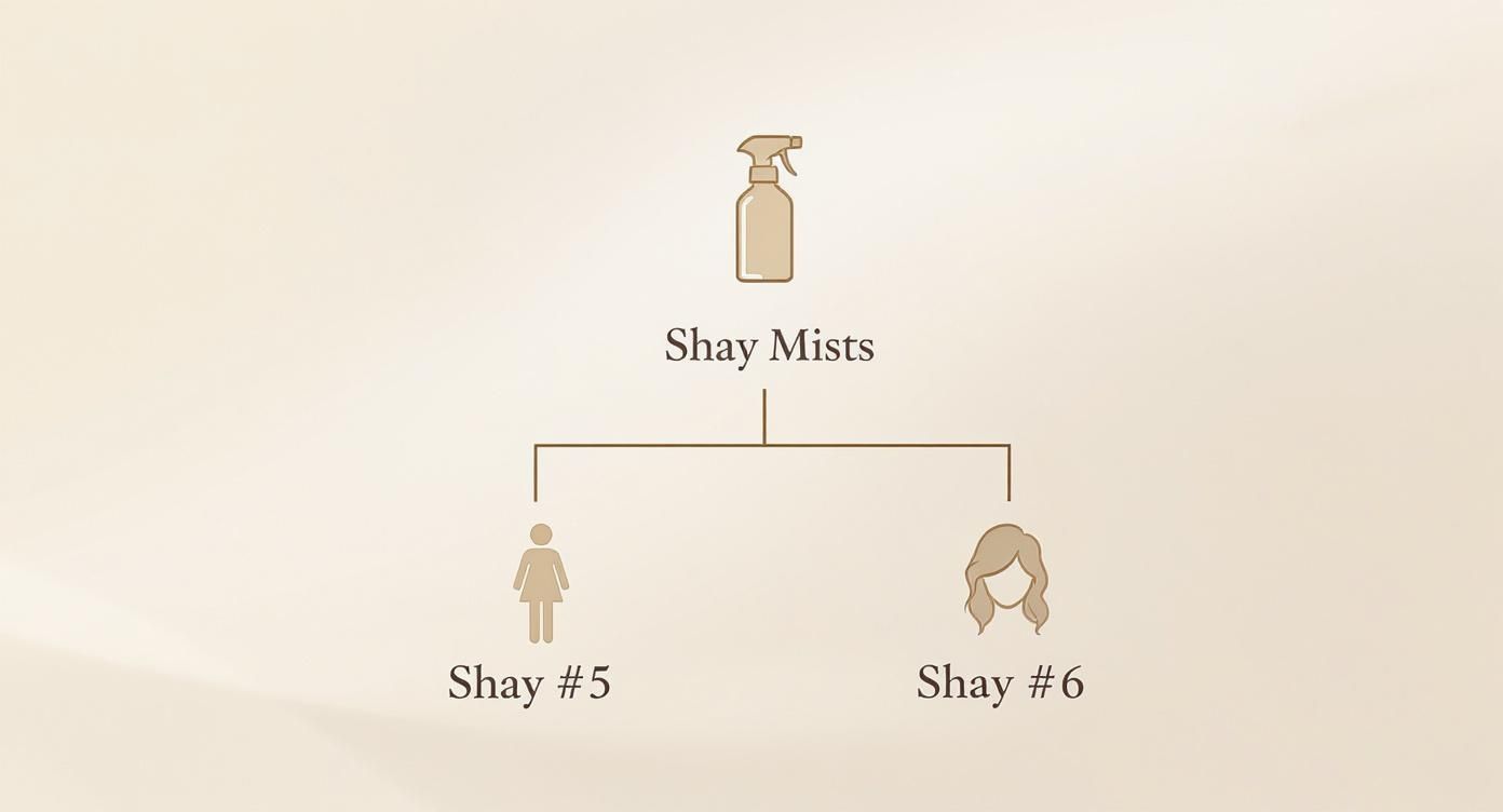 Infographic about Body & Linen Mist One Time Shay #5 One Time Shay #5 One Time Shay #6 One Time Shay #6 (Hair
