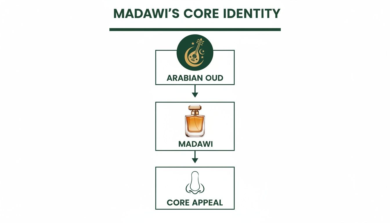 Flowchart illustrating Madawi's core identity, connecting Arabian oud to the perfume and its core appeal.