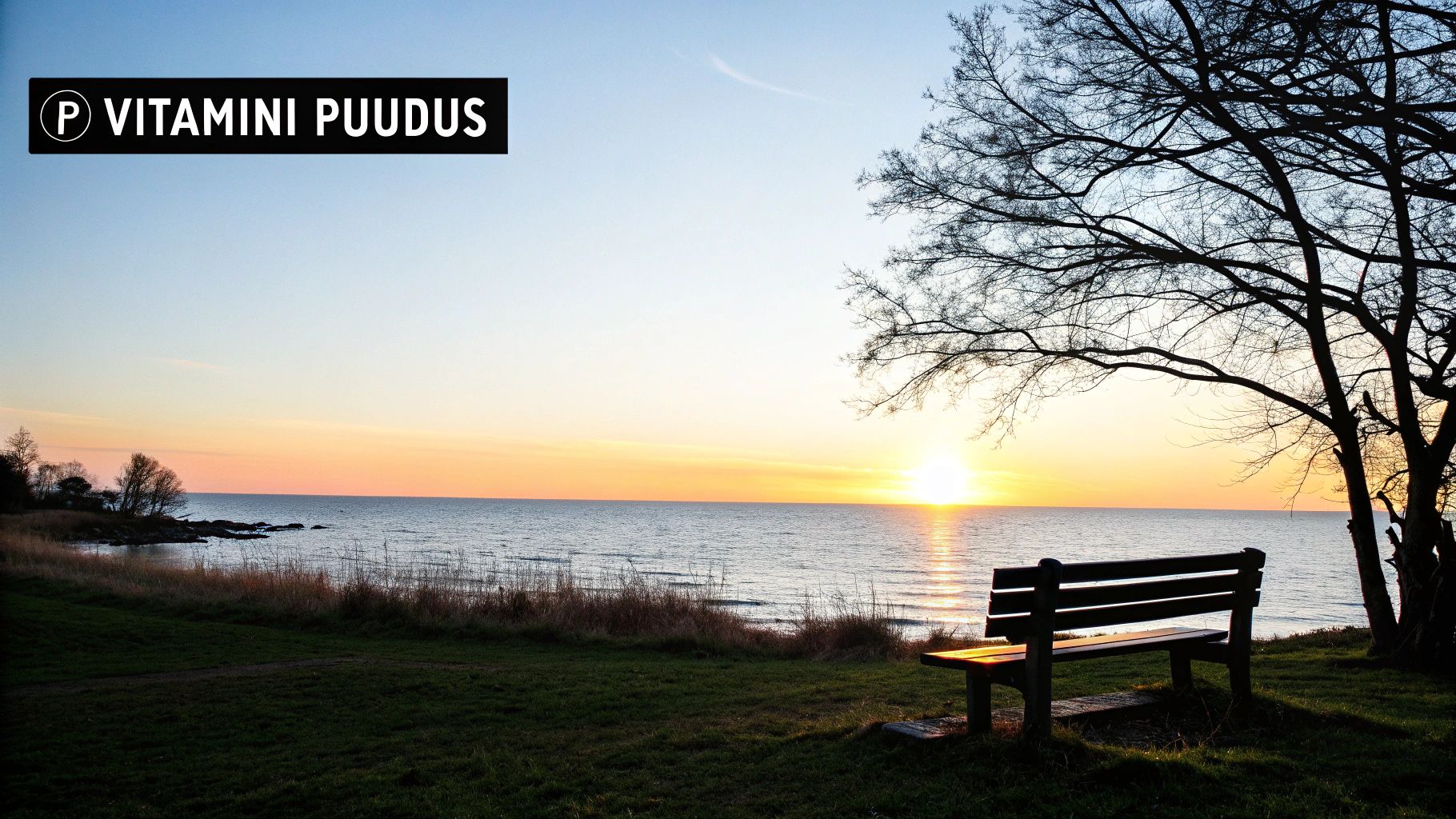 Päikeseloojang mere ääres pingiga, sümboliseerib D-vitamiini tootmist päikesevalguse kaudu