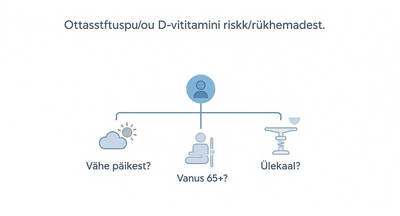 D-vitamiini riski hindamise skeem: päikesevalgus, vanus üle 65 ja üldine tervislik seisund mõjutavad D-vitamiini taset