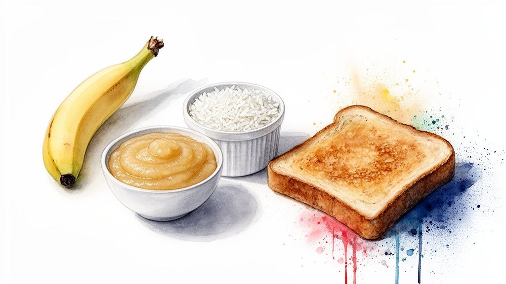 Banaan, õunapüree, riis ja röstsai valgel taustal, ideaalsed toidud seedehäirete korral.
