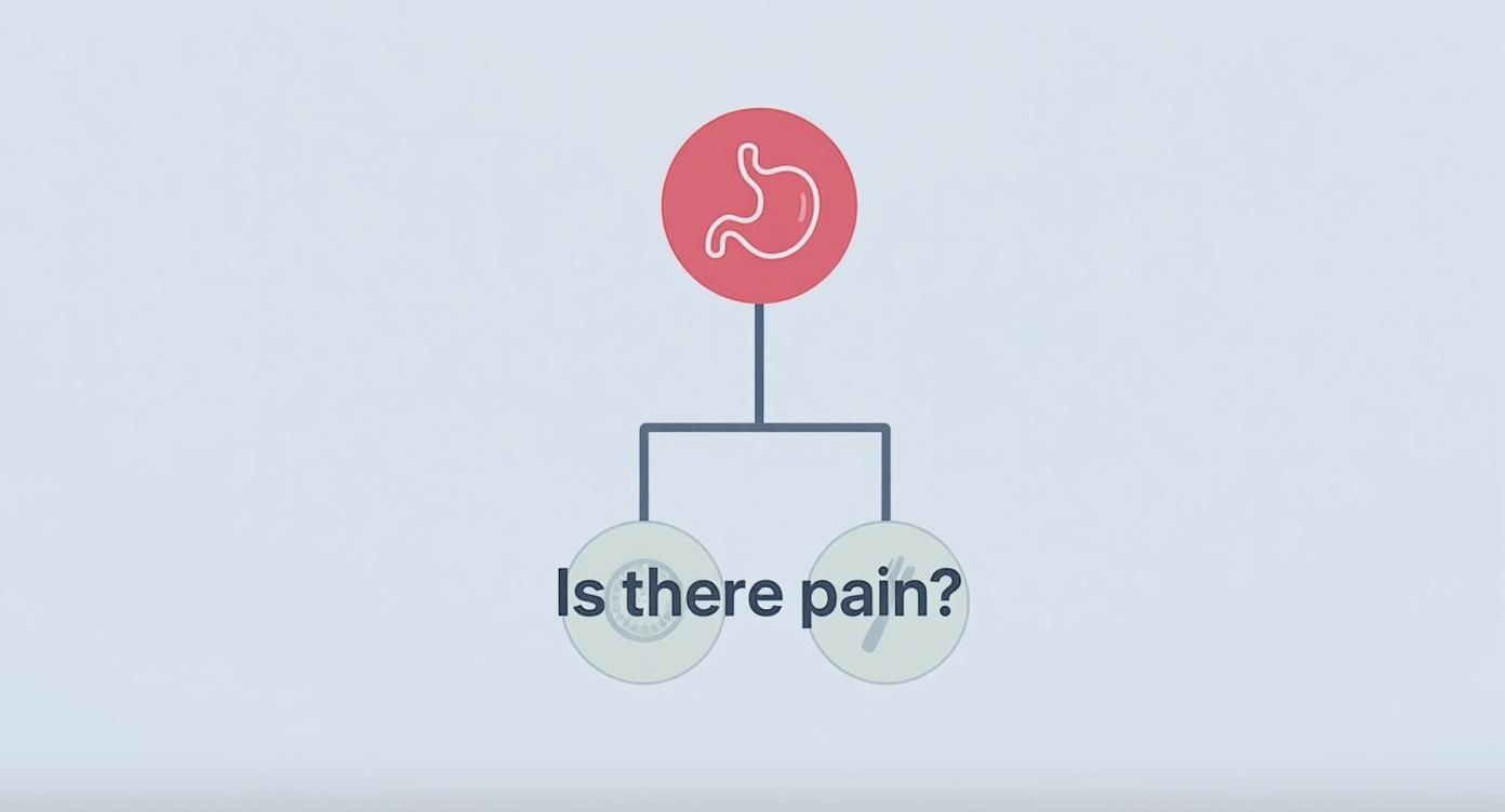 Kaavio, jossa on mahalaukun kuvake ja kysymys 'Onko kipua?', viitaten vatsaongelmiin ja oireisiin.