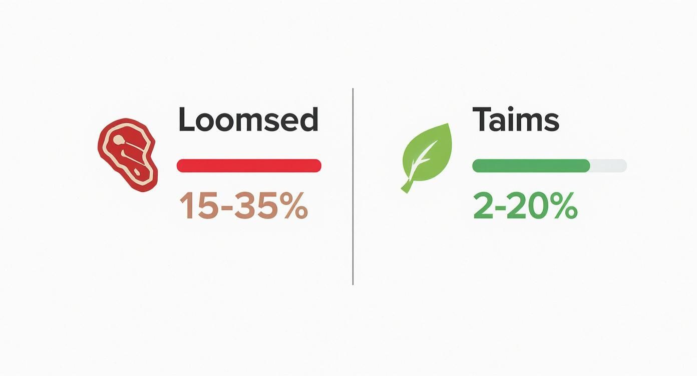 Pilt võrdleb loomsete ja taimsete toiduainete raua sisaldust või omastamist protsentides.