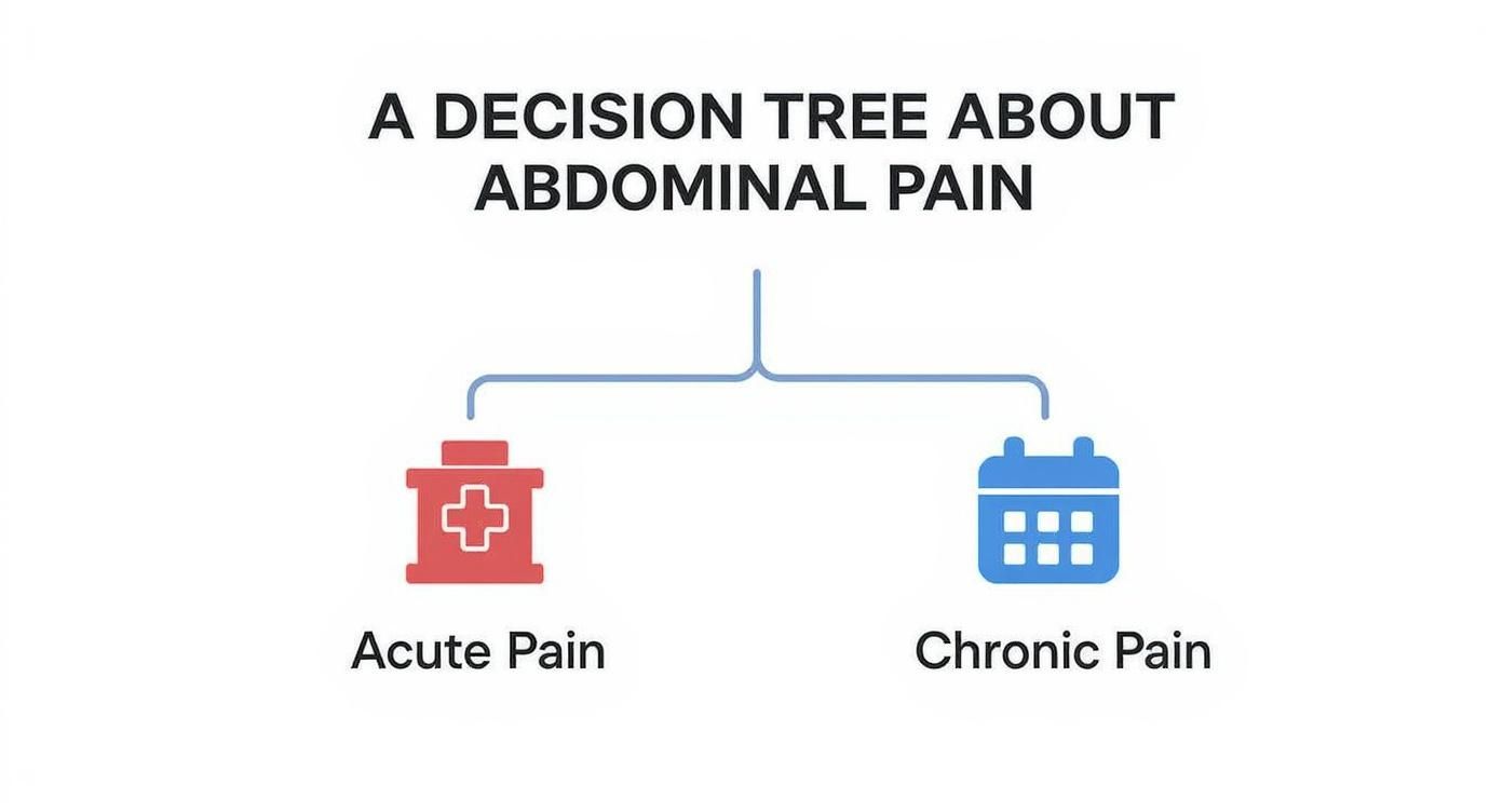 Päätöspuu vatsakivusta, joka jakautuu akuuttiin ja krooniseen kipuun, kuvitettuna ikoneilla.