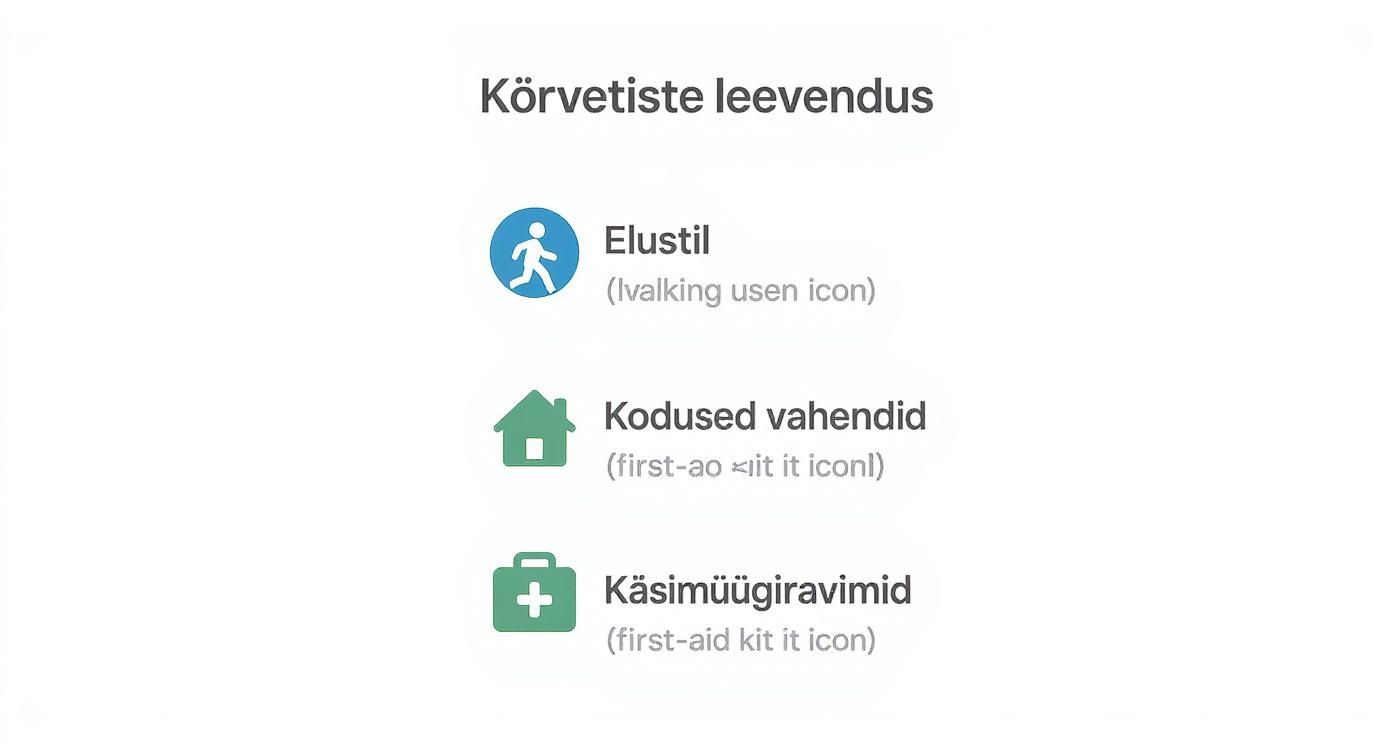 Pilt näitab kolme võimalust kõrvetiste leevendamiseks: elustil, kodused vahendid ja käsimüügiravimid koos vastavate ikoonidega.
