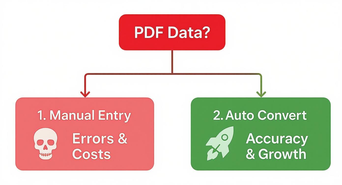 Infographic about convert from pdf to csv