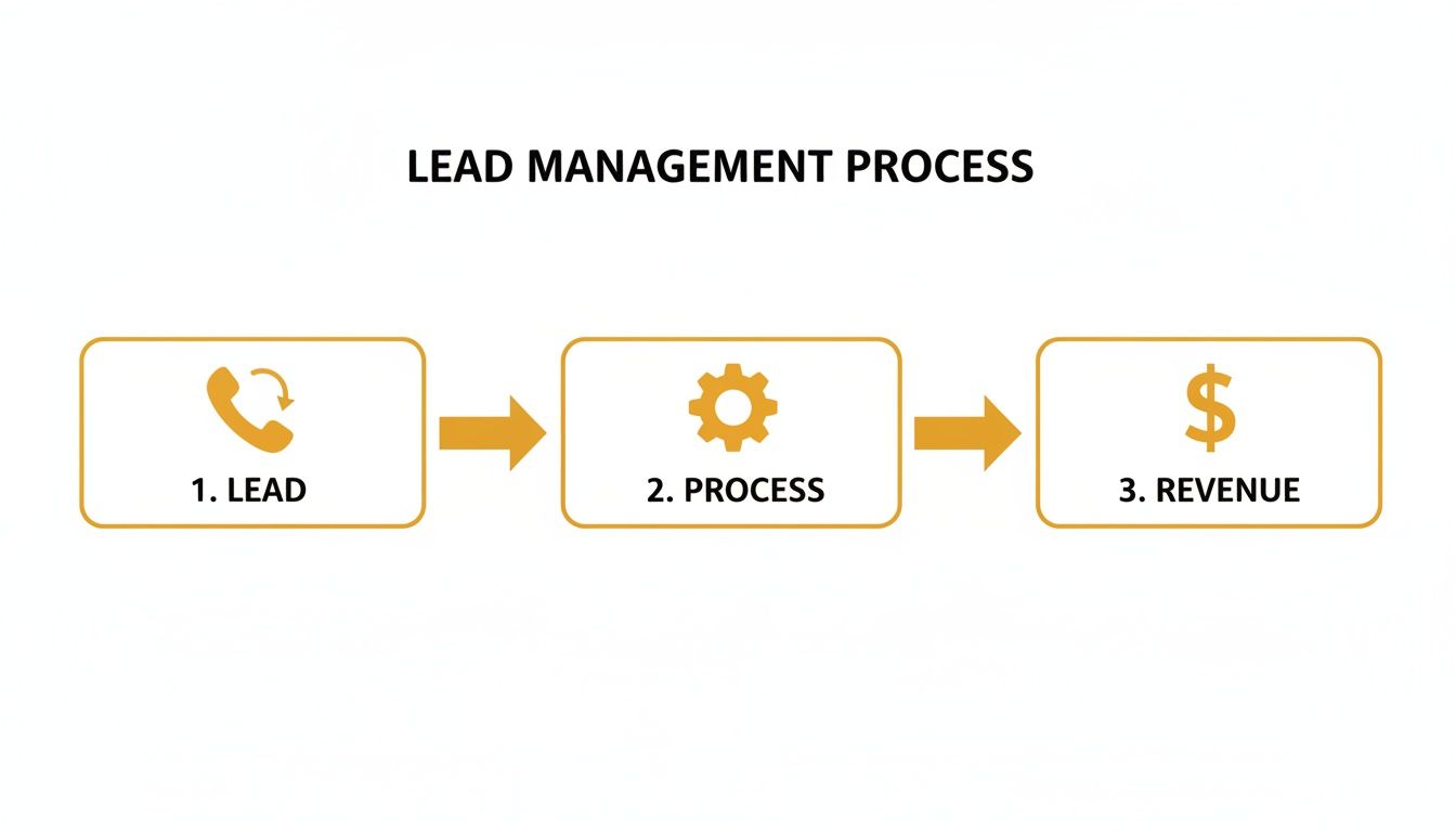 A diagram illustrating the lead management process with lead generation, processing, and revenue as key steps.
