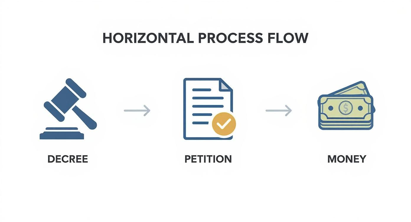 Infographic about execution petition for recovery of money