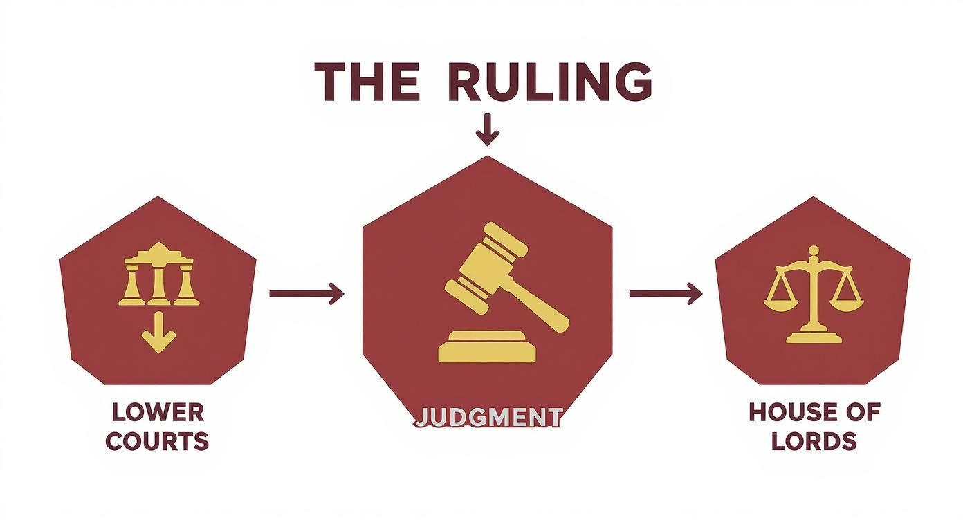 Infographic concept map showing the journey of the Salomon v Salomon case summary judgment from lower courts to the House of Lords.
