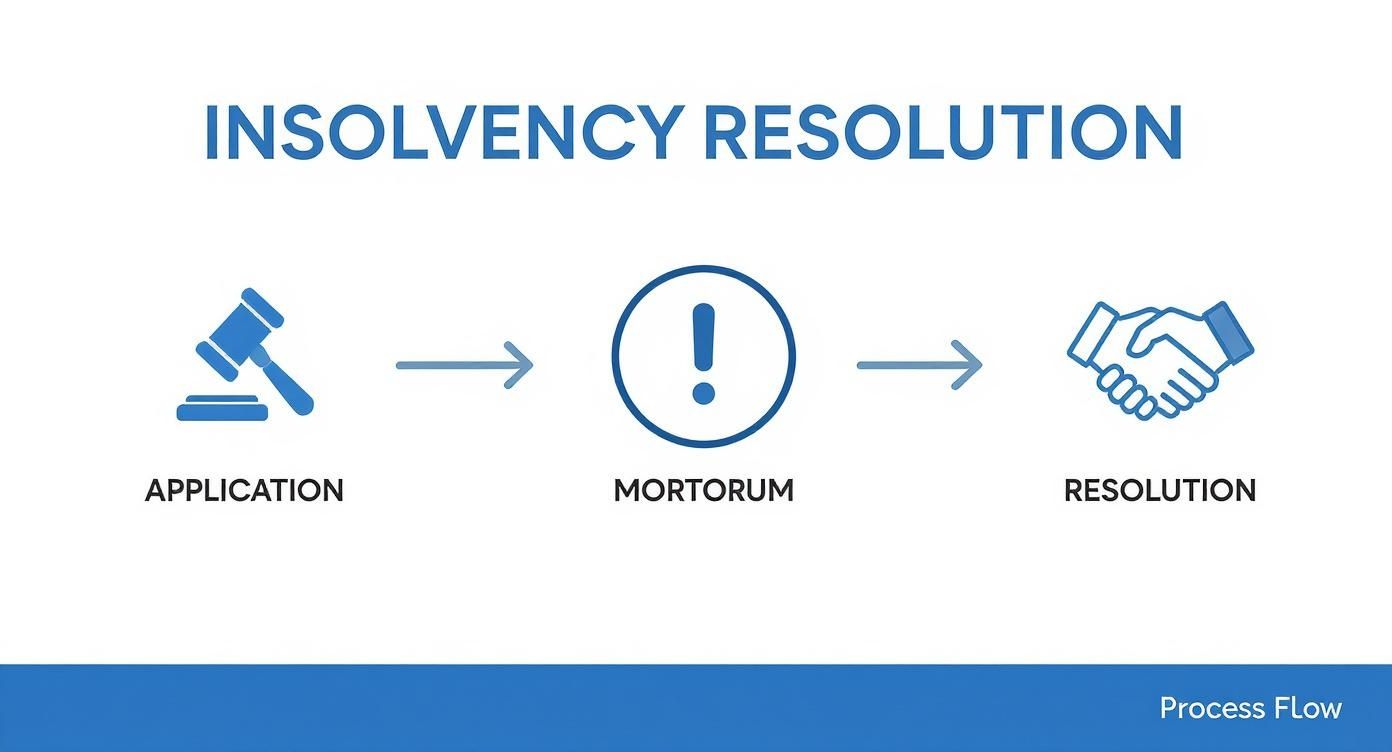 Infographic about insolvency of partners