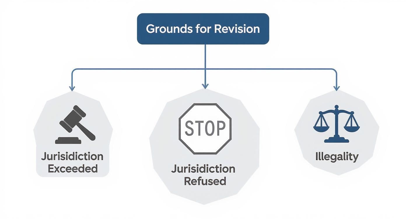 Infographic about civil revision petition