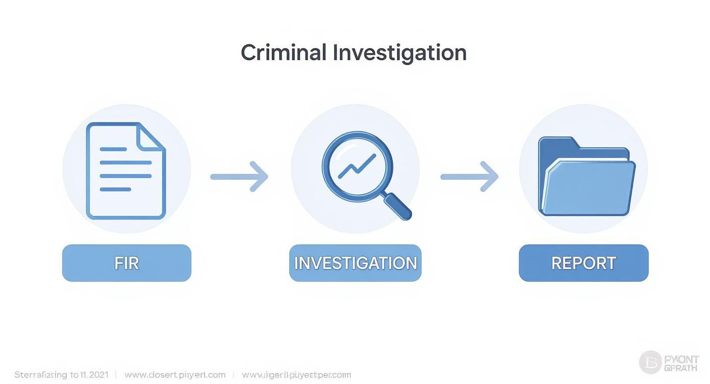 Infographic about criminal rules of practice