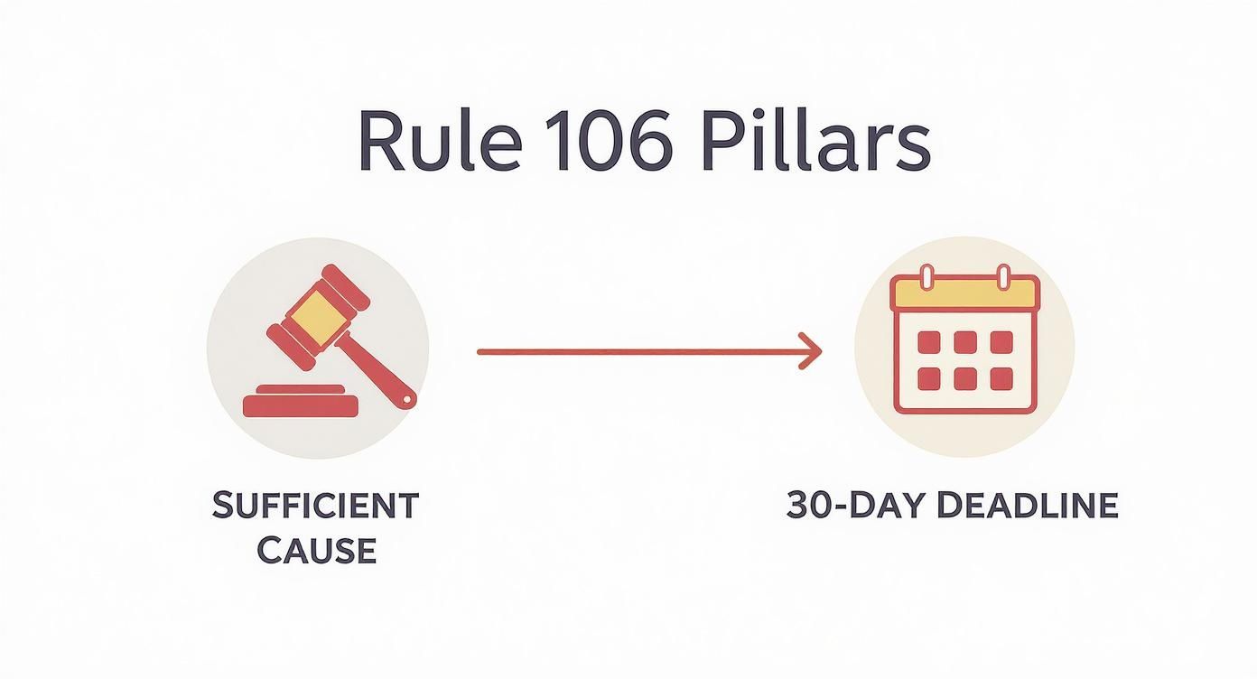 Infographic about order 21 rule 106 cpc