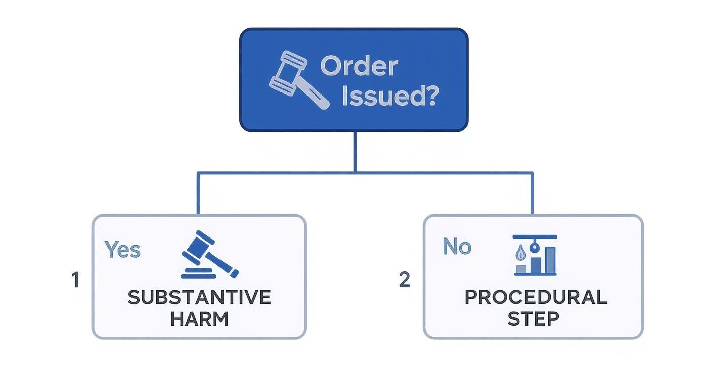 Flowchart illustrating a legal decision process for an issued order, leading to substantive harm or procedural step.