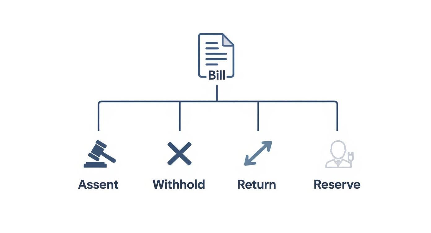 Diagram showing four options for bill action: Assent, Withhold, Return, and Reserve with corresponding icons