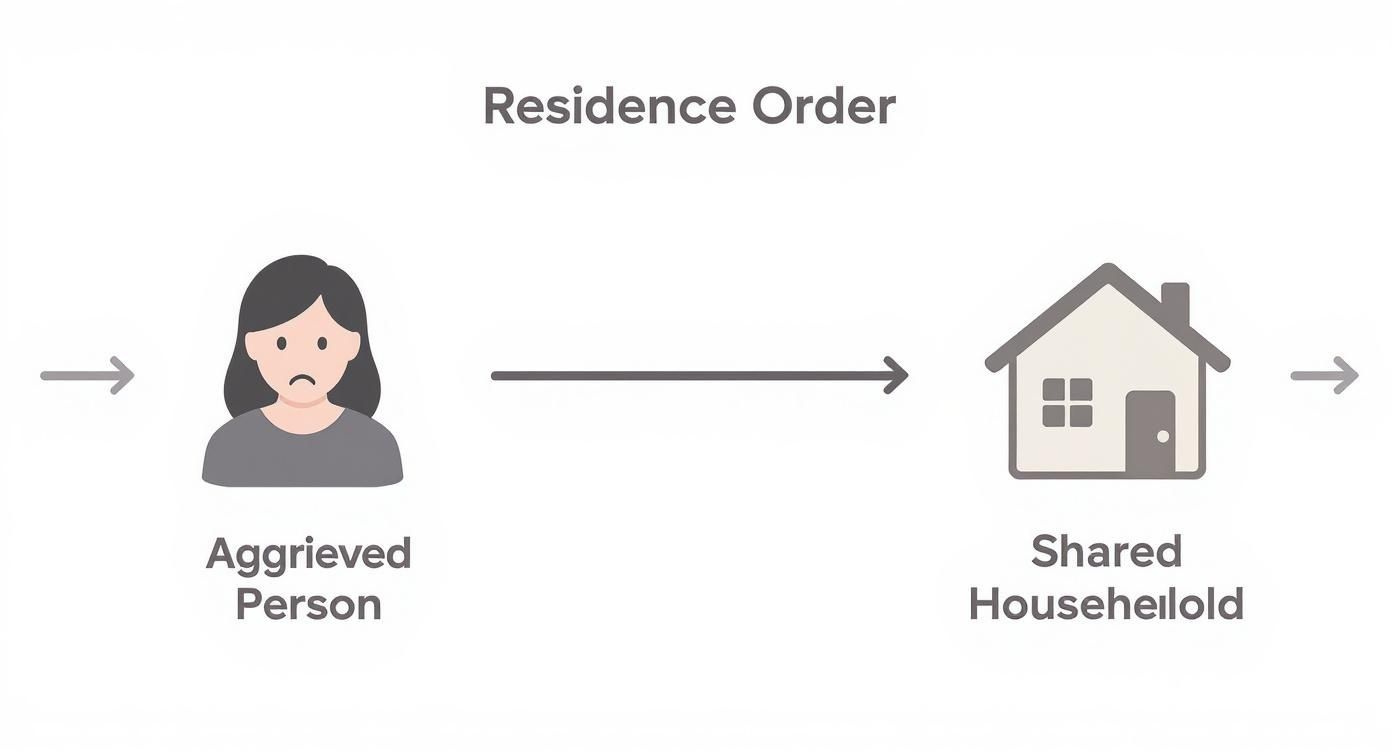 Infographic about section 19 of domestic violence act