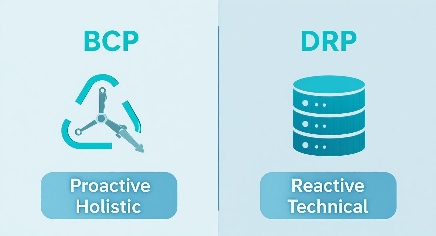 Infographic about business continuity vs disaster recovery
