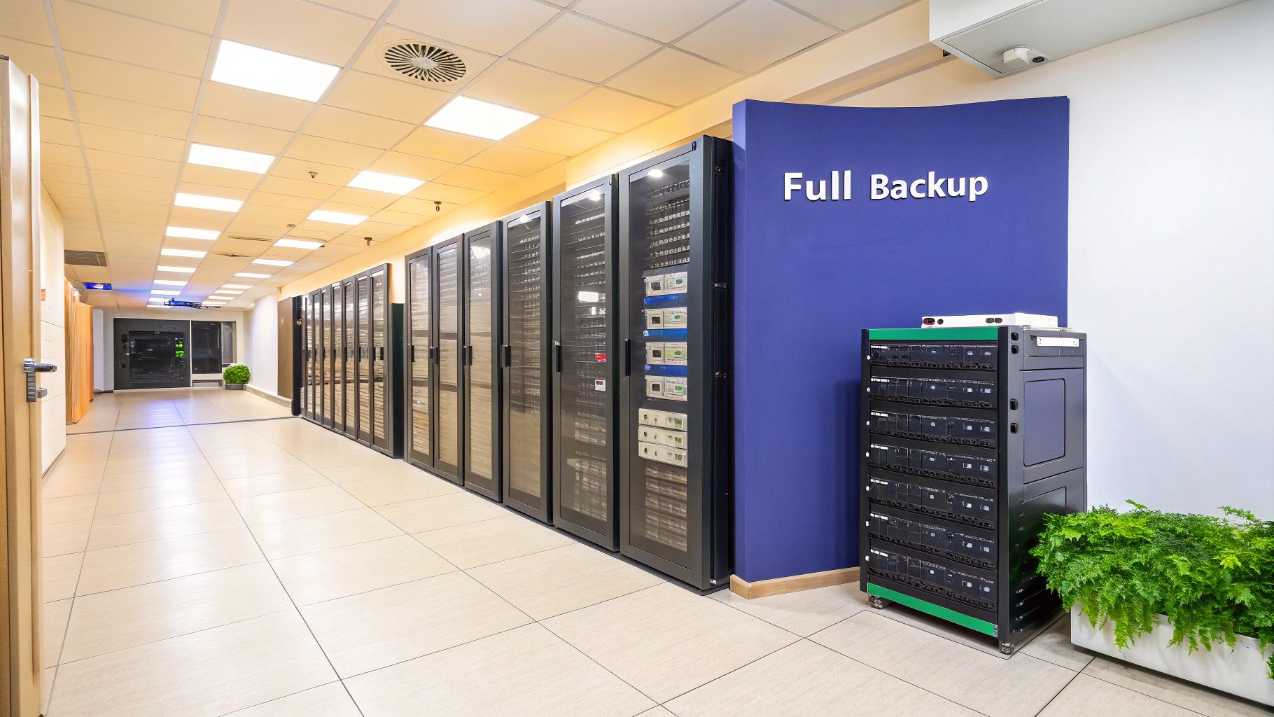 Full Database Backup