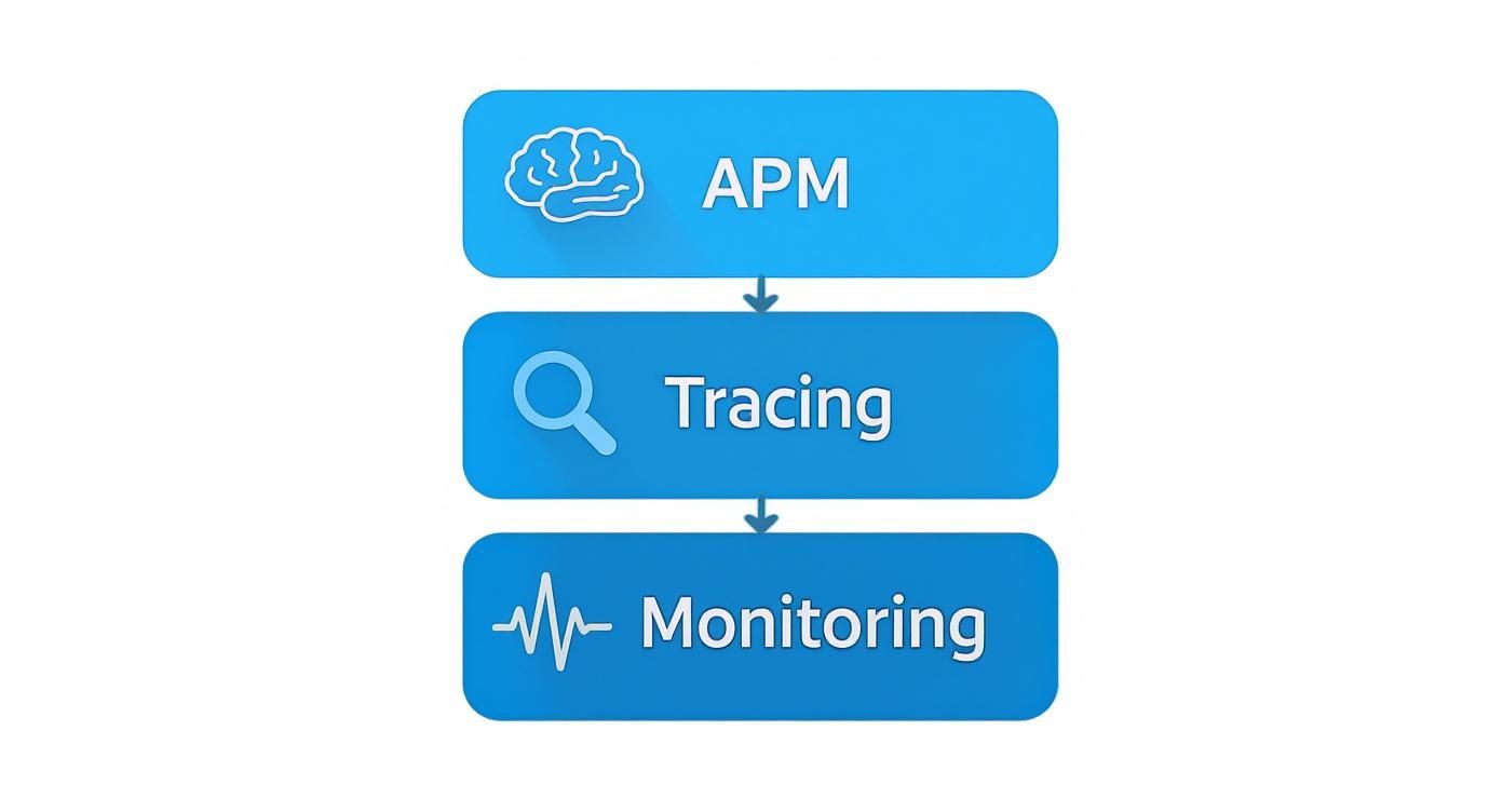 Infographic about application performance issues