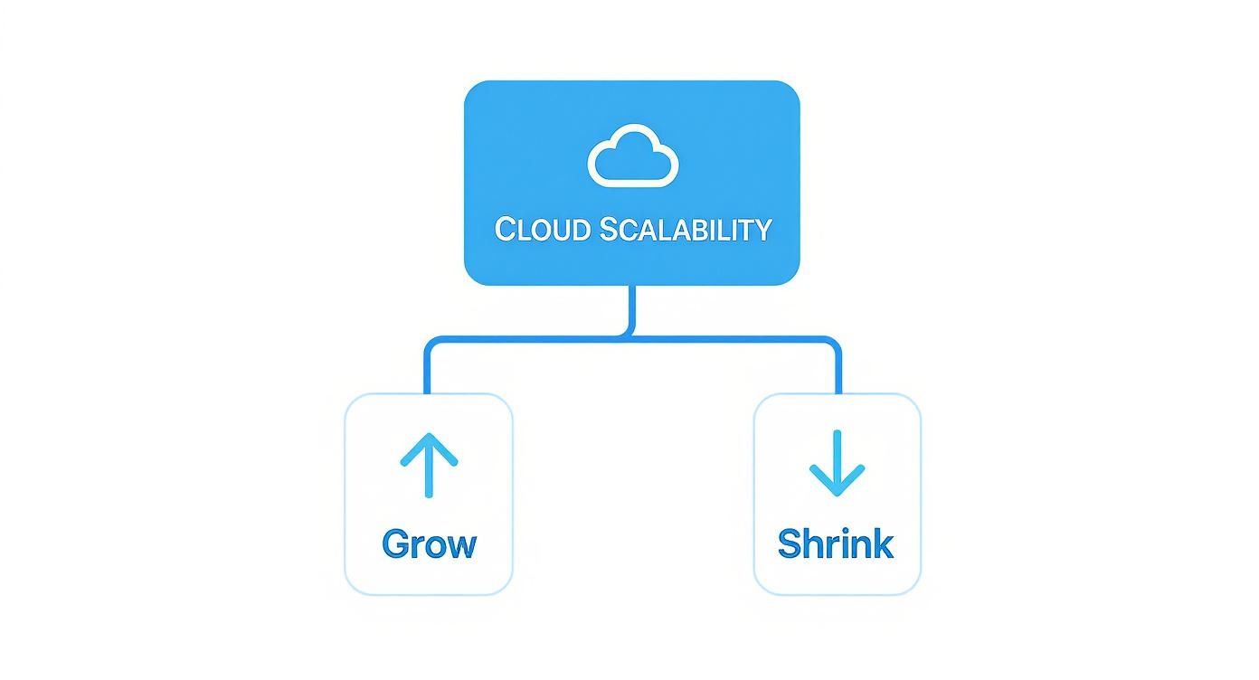 Diagram showing cloud scalability concept with options to grow (up arrow) and shrink (down arrow).