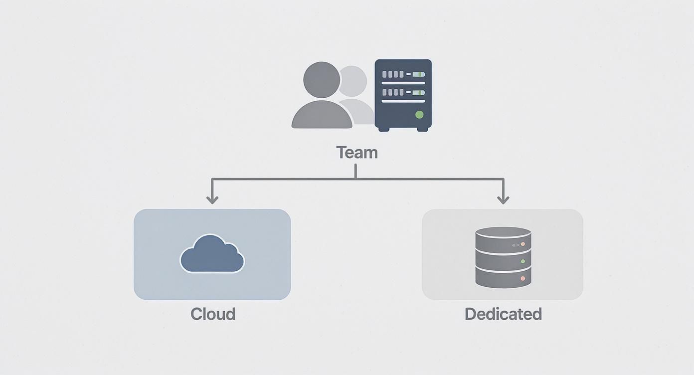 Diagram illustrating a team's choice between cloud and dedicated server hosting options.