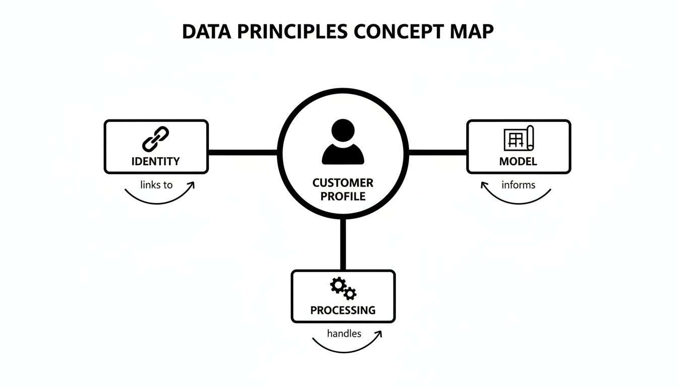 A concept map showing data principles centered around a customer profile, with identity, model, and processing.