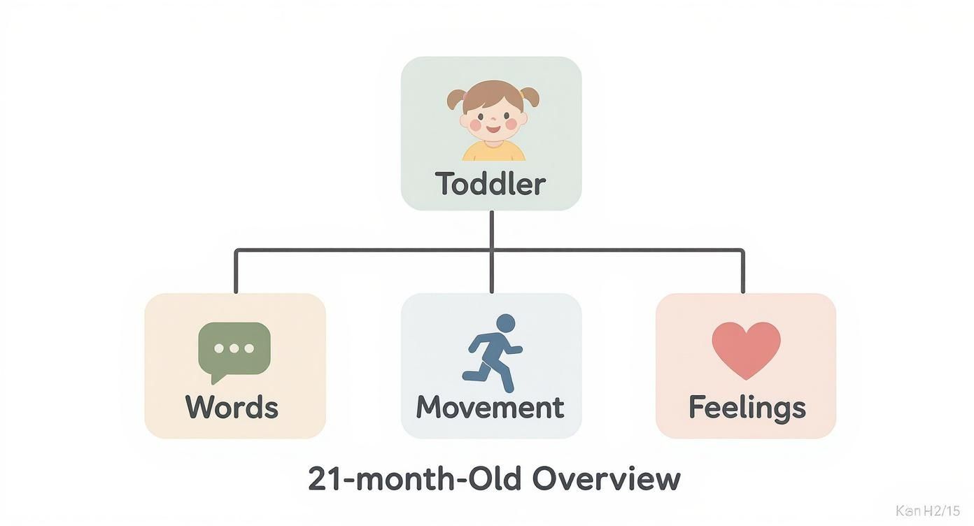 Diagram showing a 21-month-old toddler's development focusing on words, movement, and feelings.