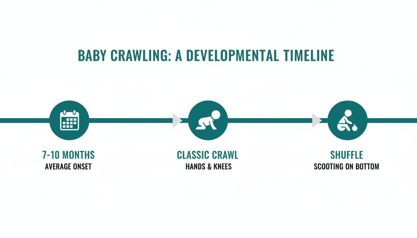 A developmental timeline of baby crawling stages, showing average onset and different styles.