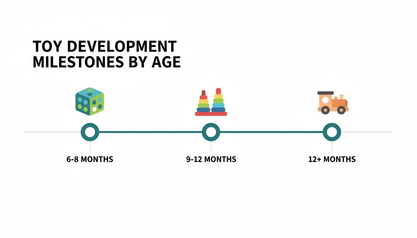 A timeline illustrating toy development milestones by age with examples of appropriate toys.
