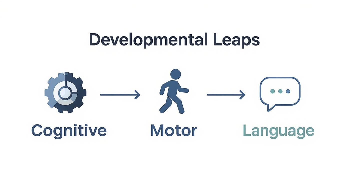Infographic about toys for 1 to 2 year olds