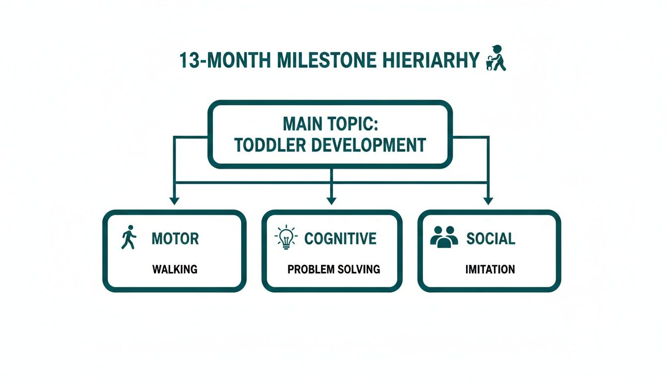 A flowchart illustrating 13-month toddler development milestones: motor (walking), cognitive (problem solving), and social (imitation).