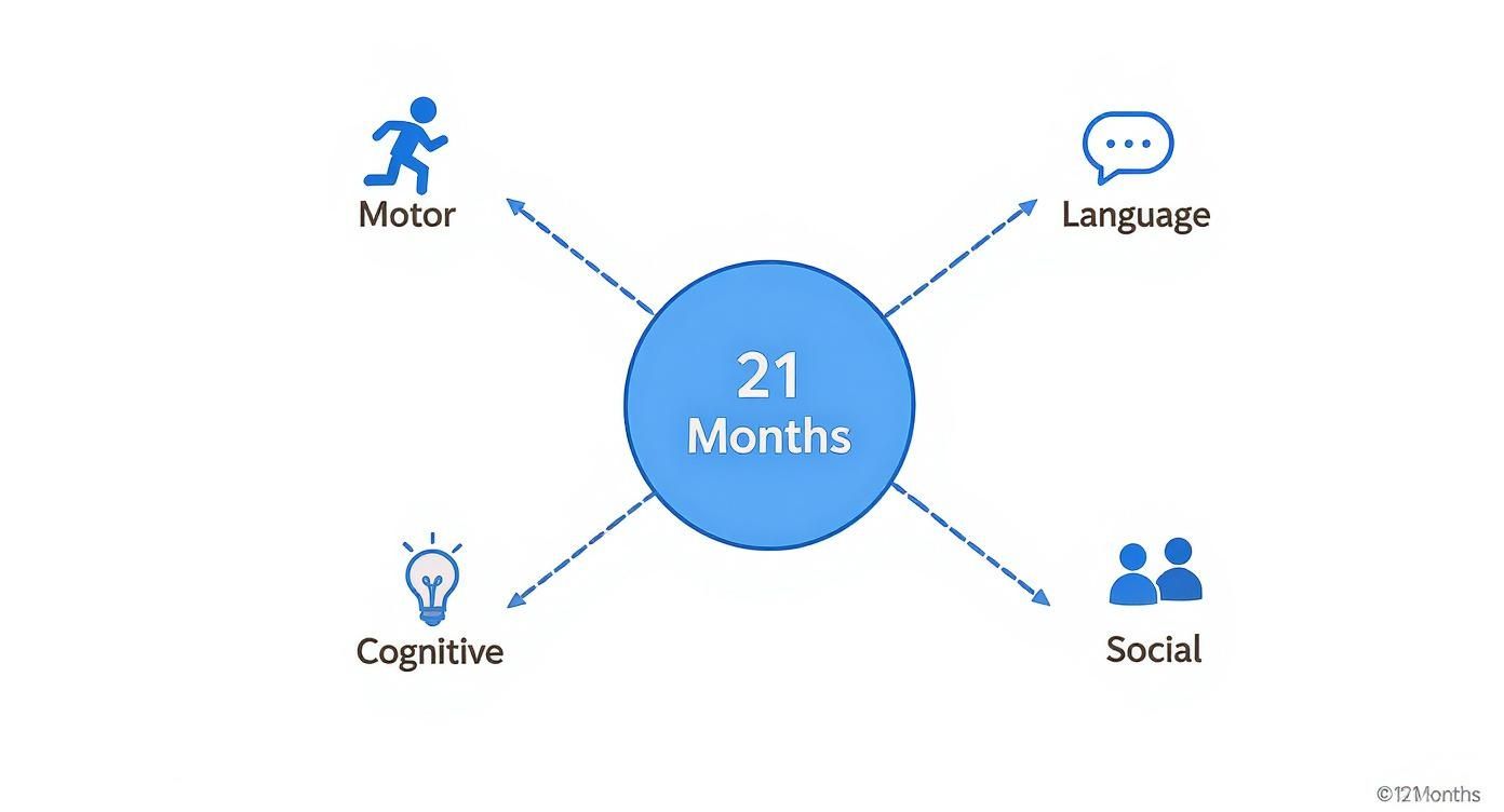 Diagram illustrating 21-month-old child developmental milestones across motor, language, cognitive, and social domains.