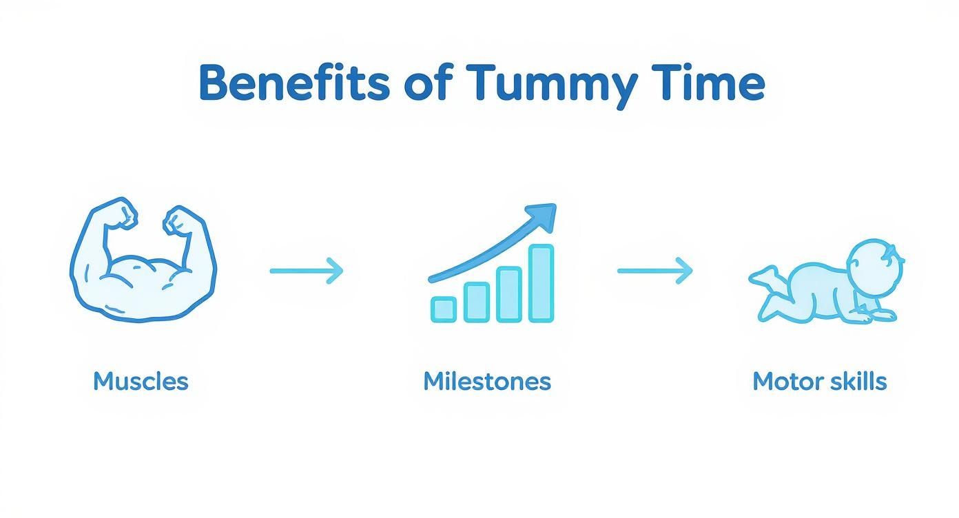 Infographic about tummy time newborn toys
