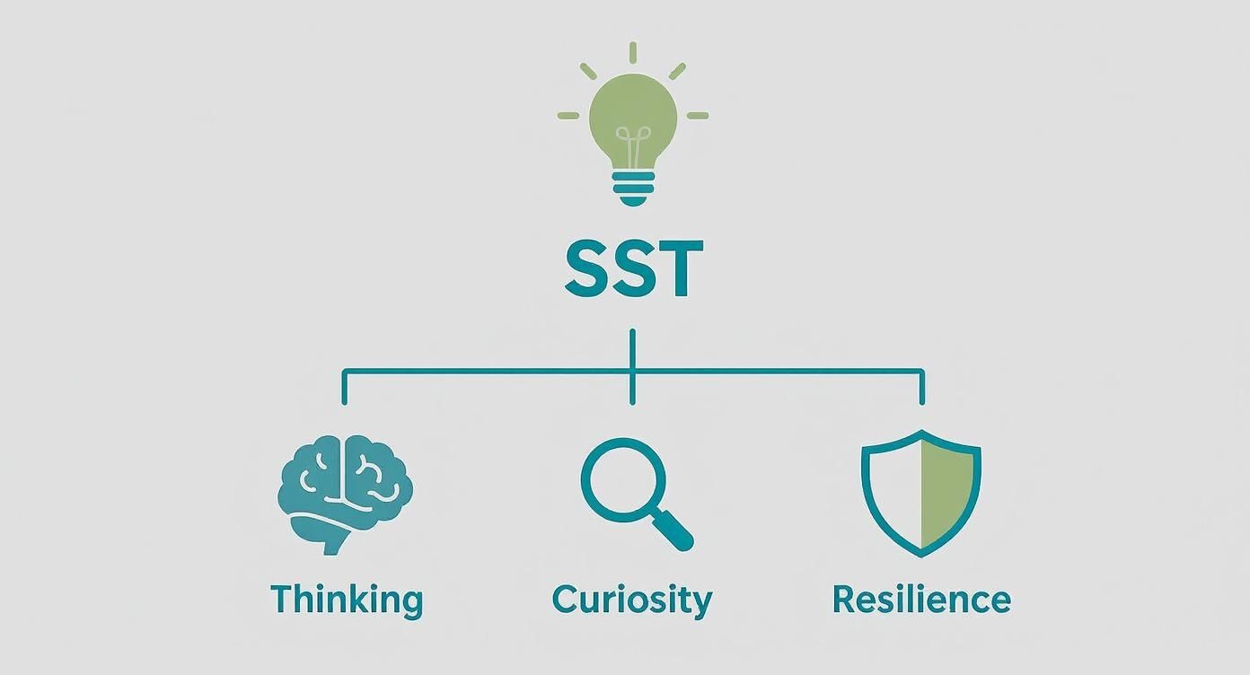 Infographic about what is sustained shared thinking