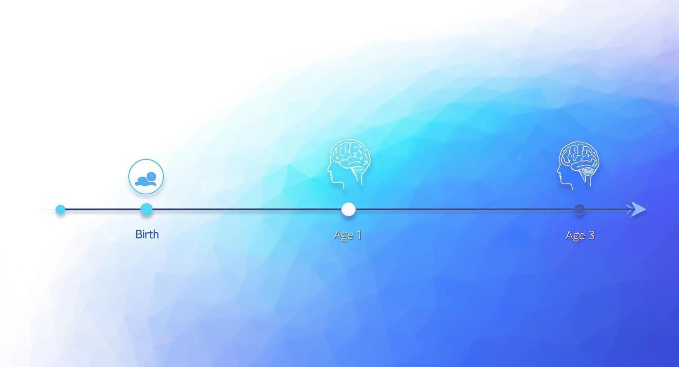 An infographic timeline showing brain growth from a newborn icon at birth, to a synapse icon at age 1, to a full brain icon at age 3, against a gradient blue background.