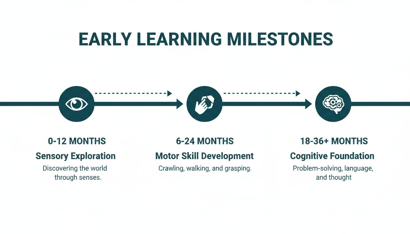 Timeline illustrating early learning milestones from 0-36+ months, focusing on sensory, motor, and cognitive development.