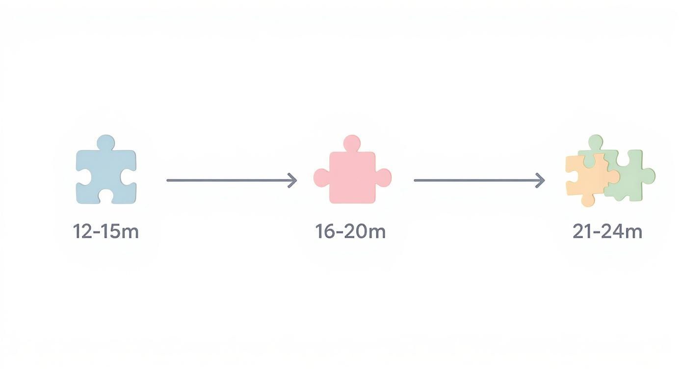 A visual timeline showing single and multi-piece puzzles suitable for toddlers at different age ranges: 12-24 months.